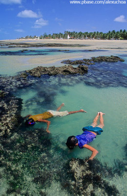mergulho nas piscinas naturais da praia de fleixeiras, Trairi, Ceará