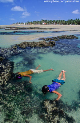 mergulho nas piscinas naturais da praia de fleixeiras, Trairi, Cear