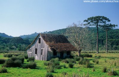 Paisagem Tpica Serra Gacha, Canela, Rio Grande do Sul