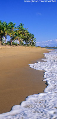 The classic tropical beach com crop.jpg