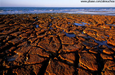 Texturas de pedras na praia de Fontainha