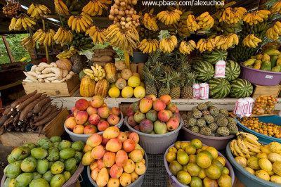 Frutas tropicais_DSC7061.jpg