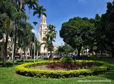 Parque da Luz, So Paulo - SP 0348