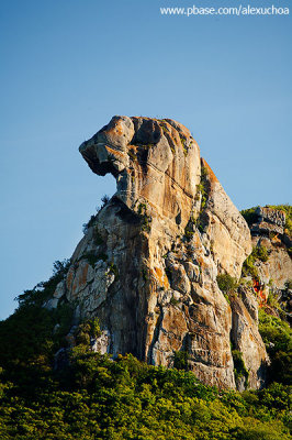 Detalhe da cabeça da Pedra da galinha choca, Quixadá