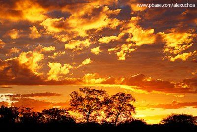 Pôr-do-sol no sertão, Quixadá 3506