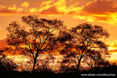 Pôr-do-sol no sertão, Quixadá 3507