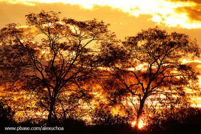Pôr-do-sol no sertão _3501