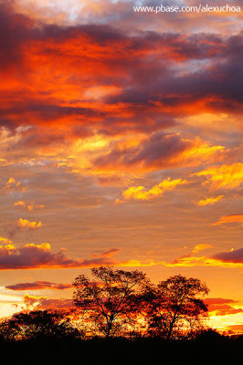 Pôr-do-sol no sertão _3516