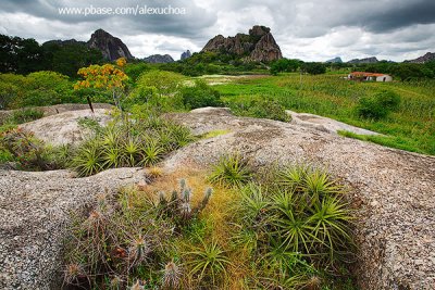 Quixadá_2090