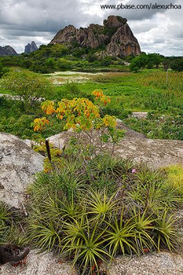 Quixadá_2093