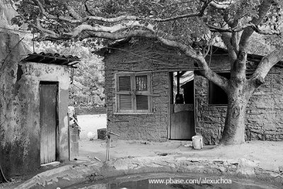 Quixadá_2126