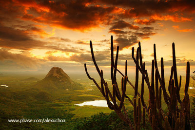 Vista a partir da Serra do Urucum, Quixadá_3615