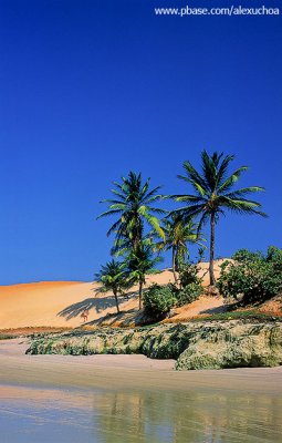 lagoinha vertical224.jpg