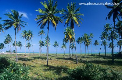 Praia do Bessa, Joo Pessoa, PB