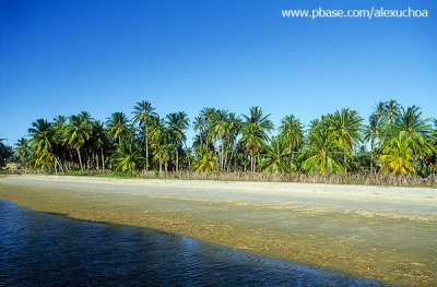 Tranquilidade na praia de Munda, Trairi, CE.jpg