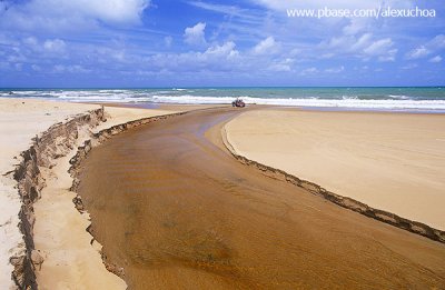 praia de baa formosa, RN.jpg