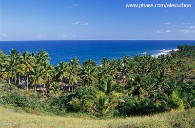 vista panormica da pennsula de mara.jpg