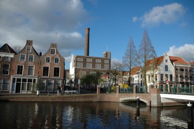Spring is coming in Leiden