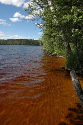 Sorsanselka-lake in the Leivonmaeen National park, Finland
