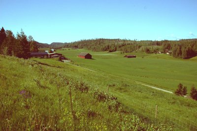 A landscape near Leivonmaeki (Central finland)