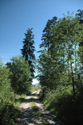Entrance to the Schwarzwald, Wendtweg