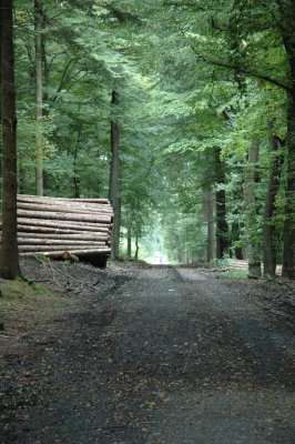 Hiking and Biking trail