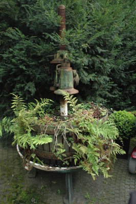DSC_0102.JPG
