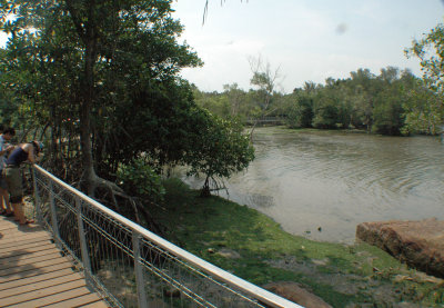 The mudflat from a distance