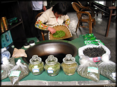 A girl is selecting the season's fresh new tea leaves