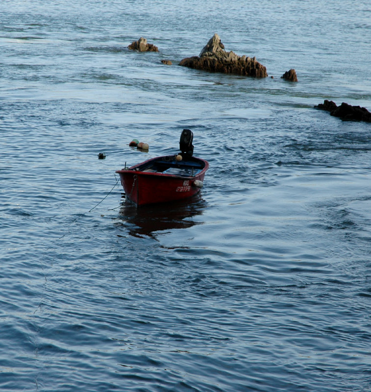 Lonely boat