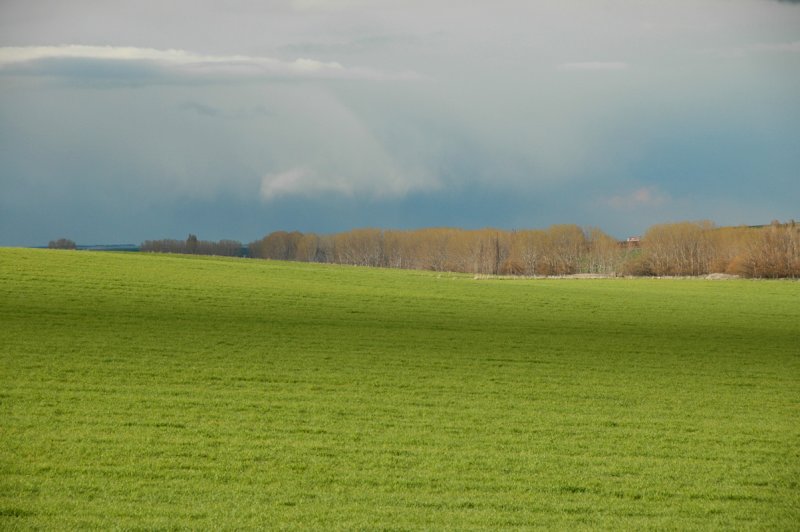 Se aprecia la zona de ribera