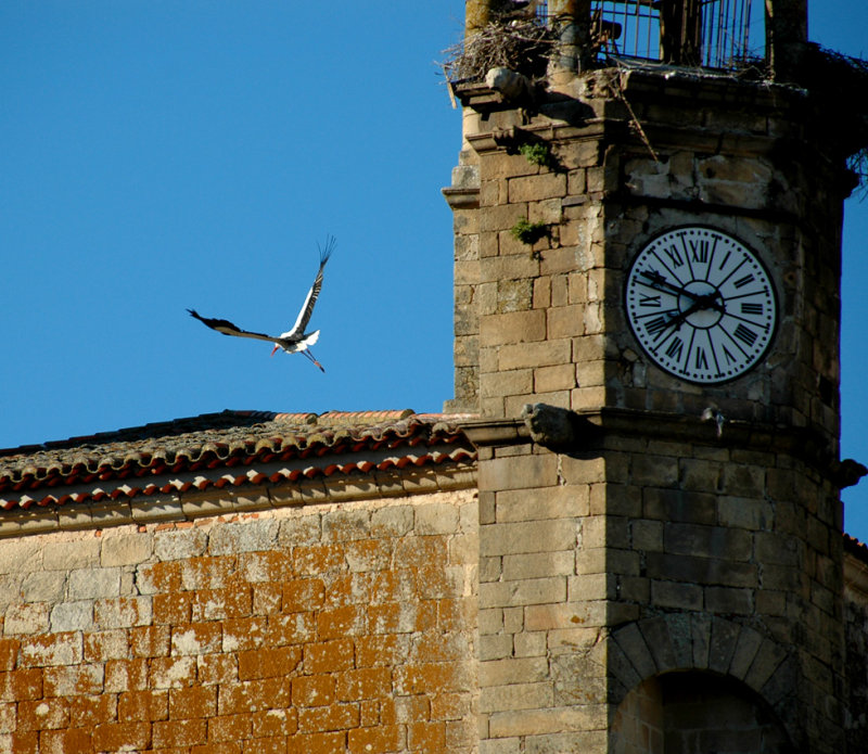 Flying