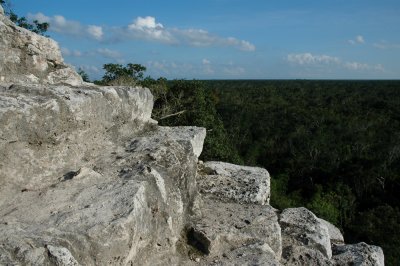 Over the jungle - Pyramid of Nohoch Mul - Cob