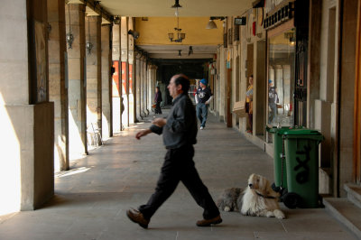 The dog and the waiter