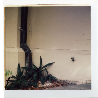 File4460.jpg