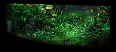 1 year and 2 weeks old