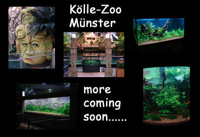 The new Kölle-Zoo Münster