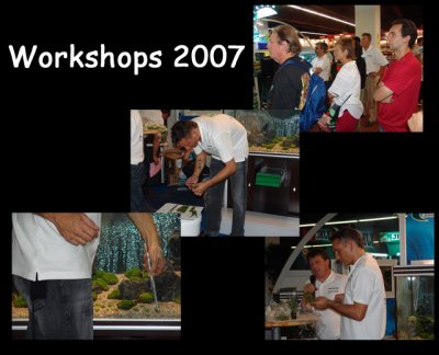 Coming Workshop 2007