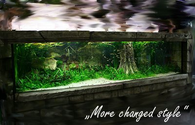 about 3 month after rescaping
