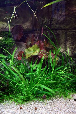 about 3 month after rescaping