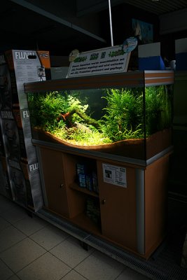 25th day after set up