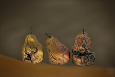 Old pears.jpg