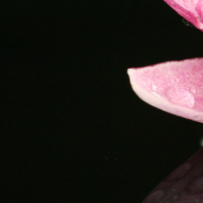 09.jpg