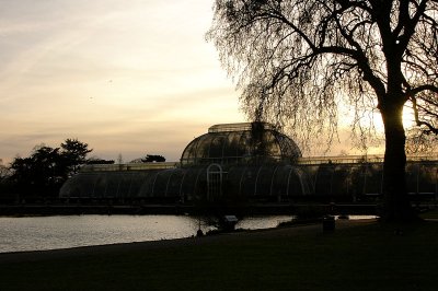 palm house late afternoon