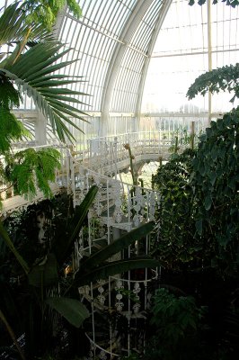 palm house stairs