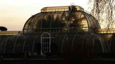 Palm house late afternoon