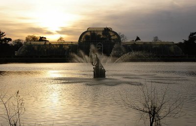 pond and palm house late afternoon