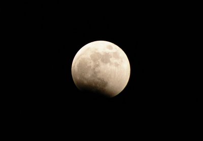 DSC_8826.jpg