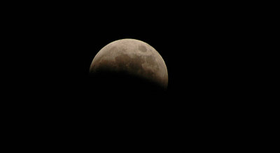 DSC_8838.jpg
