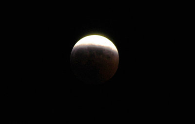 DSC_8844.jpg